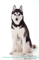 Siberian Husky Affirmations Workbook Siberian Husky Presents: Positive and Loving Affirmations Workbook. Includes: Mentoring Questions, Guidance, Supporting You.