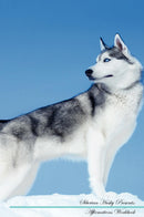 Siberian Husky Affirmations Workbook Siberian Husky Presents: Positive and Loving Affirmations Workbook. Includes: Mentoring Questions, Guidance, Supporting You.