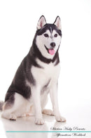 Siberian Husky Affirmations Workbook Siberian Husky Presents: Positive and Loving Affirmations Workbook. Includes: Mentoring Questions, Guidance, Supporting You.