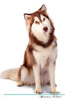 Siberian Husky Affirmations Workbook Siberian Husky Presents: Positive and Loving Affirmations Workbook. Includes: Mentoring Questions, Guidance, Supporting You.