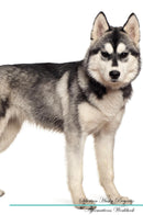 Siberian Husky Affirmations Workbook Siberian Husky Presents: Positive and Loving Affirmations Workbook. Includes: Mentoring Questions, Guidance, Supporting You.