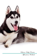 Siberian Husky Affirmations Workbook Siberian Husky Presents: Positive and Loving Affirmations Workbook. Includes: Mentoring Questions, Guidance, Supporting You.