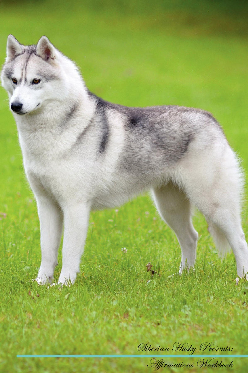 Siberian Husky Affirmations Workbook Siberian Husky Presents: Positive and Loving Affirmations Workbook. Includes: Mentoring Questions, Guidance, Supporting You.