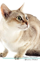 Singapura Cat Affirmations Workbook Singapura Cat Presents: Positive and Loving Affirmations Workbook. Includes: Mentoring Questions, Guidance, Supporting You.