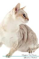 Singapura Cat Affirmations Workbook Singapura Cat Presents: Positive and Loving Affirmations Workbook. Includes: Mentoring Questions, Guidance, Supporting You.