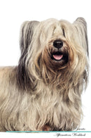 Skye Terrier Affirmations Workbook Skye Terrier Presents: Positive and Loving Affirmations Workbook. Includes: Mentoring Questions, Guidance, Supporting You.