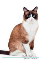 Snowshoe Cat Affirmations Workbook Snowshoe Cat Presents: Positive and Loving Affirmations Workbook. Includes: Mentoring Questions, Guidance, Supporting You.