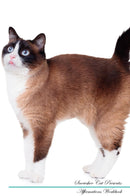 Snowshoe Cat Affirmations Workbook Snowshoe Cat Presents: Positive and Loving Affirmations Workbook. Includes: Mentoring Questions, Guidance, Supporting You.