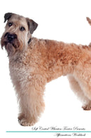 Soft Coated Wheaten Terrier Affirmations Workbook Soft Coated Wheaten Terrier Presents: Positive and Loving Affirmations Workbook. Includes: Mentoring Questions, Guidance, Supporting You.