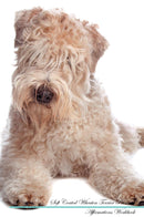 Soft Coated Wheaten Terrier Affirmations Workbook Soft Coated Wheaten Terrier Presents: Positive and Loving Affirmations Workbook. Includes: Mentoring Questions, Guidance, Supporting You.