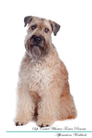 Soft Coated Wheaten Terrier Affirmations Workbook Soft Coated Wheaten Terrier Presents: Positive and Loving Affirmations Workbook. Includes: Mentoring Questions, Guidance, Supporting You.