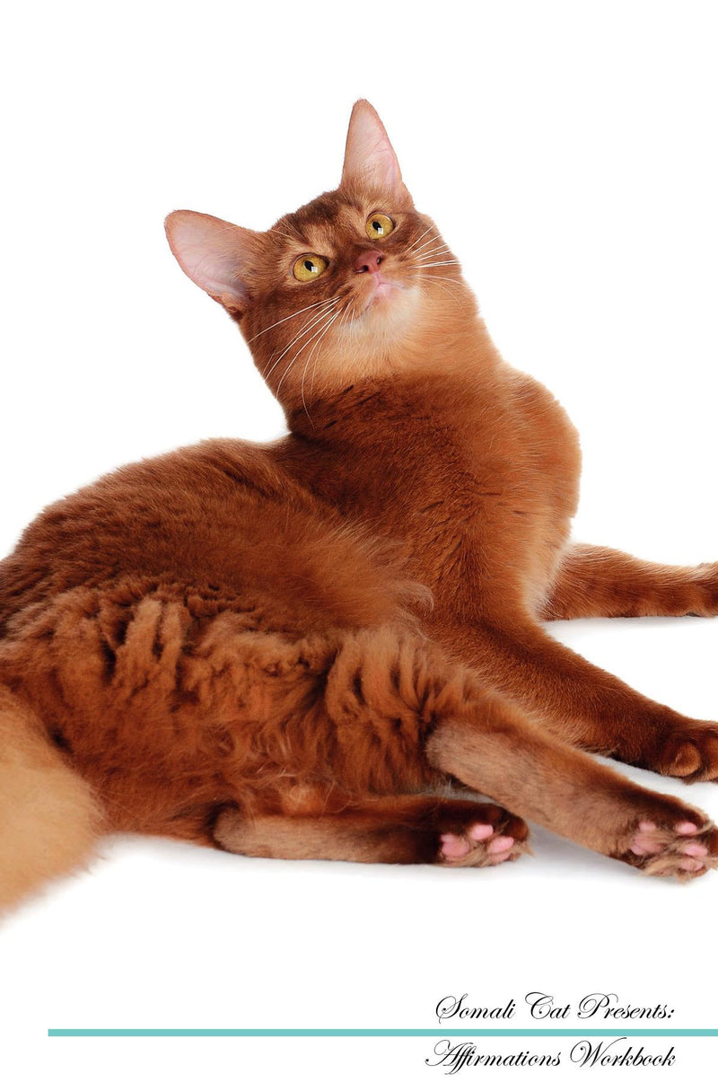 Somali Cat Affirmations Workbook Somali Cat Presents: Positive and Loving Affirmations Workbook. Includes: Mentoring Questions, Guidance, Supporting You.