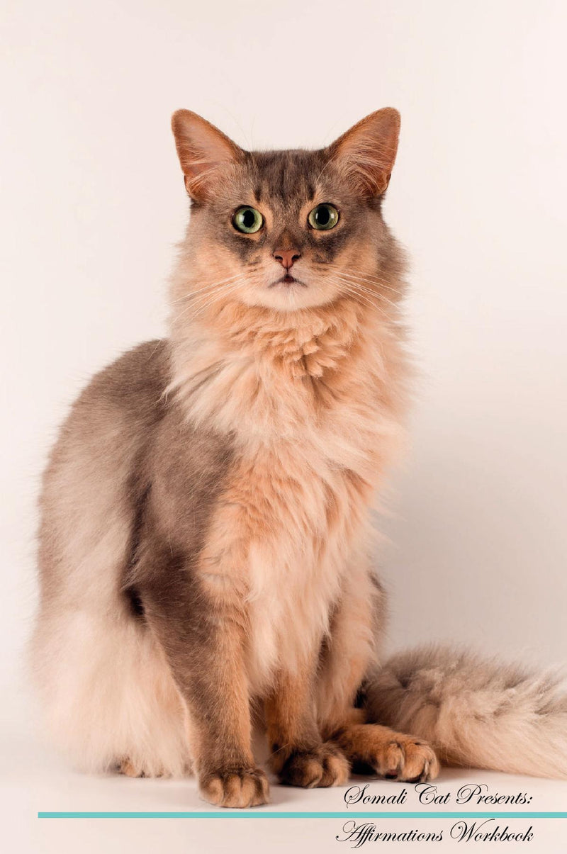 Somali Cat Affirmations Workbook Somali Cat Presents: Positive and Loving Affirmations Workbook. Includes: Mentoring Questions, Guidance, Supporting You.