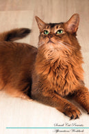 Somali Cat Affirmations Workbook Somali Cat Presents: Positive and Loving Affirmations Workbook. Includes: Mentoring Questions, Guidance, Supporting You.