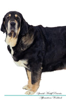 Spanish Mastiff Affirmations Workbook Spanish Mastiff Presents: Positive and Loving Affirmations Workbook. Includes: Mentoring Questions, Guidance, Supporting You.