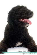 Spanish Water Dog Affirmations Workbook Spanish Water Dog Presents: Positive and Loving Affirmations Workbook. Includes: Mentoring Questions, Guidance, Supporting You.
