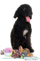 Spanish Water Dog Affirmations Workbook Spanish Water Dog Presents: Positive and Loving Affirmations Workbook. Includes: Mentoring Questions, Guidance, Supporting You.