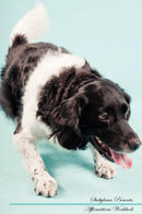 Stabyhoun Affirmations Workbook Stabyhoun Presents: Positive and Loving Affirmations Workbook. Includes: Mentoring Questions, Guidance, Supporting You.