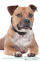 Staffordshire Bull Terrier Affirmations Workbook Staffordshire Bull Terrier Presents: Positive and Loving Affirmations Workbook. Includes: Mentoring Questions, Guidance, Supporting You.