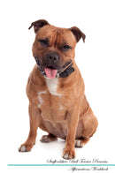 Staffordshire Bull Terrier Affirmations Workbook Staffordshire Bull Terrier Presents: Positive and Loving Affirmations Workbook. Includes: Mentoring Questions, Guidance, Supporting You.
