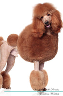 Standard Poodle Affirmations Workbook Standard Poodle Presents: Positive and Loving Affirmations Workbook. Includes: Mentoring Questions, Guidance, Supporting You.