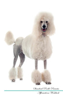 Standard Poodle Affirmations Workbook Standard Poodle Presents: Positive and Loving Affirmations Workbook. Includes: Mentoring Questions, Guidance, Supporting You.