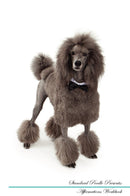 Standard Poodle Affirmations Workbook Standard Poodle Presents: Positive and Loving Affirmations Workbook. Includes: Mentoring Questions, Guidance, Supporting You.