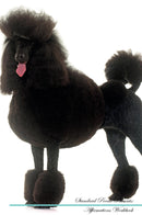 Standard Poodle Affirmations Workbook Standard Poodle Presents: Positive and Loving Affirmations Workbook. Includes: Mentoring Questions, Guidance, Supporting You.