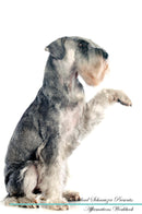 Standard Schnauzer Affirmations Workbook Standard Schnauzer Presents: Positive and Loving Affirmations Workbook. Includes: Mentoring Questions, Guidance, Supporting You.
