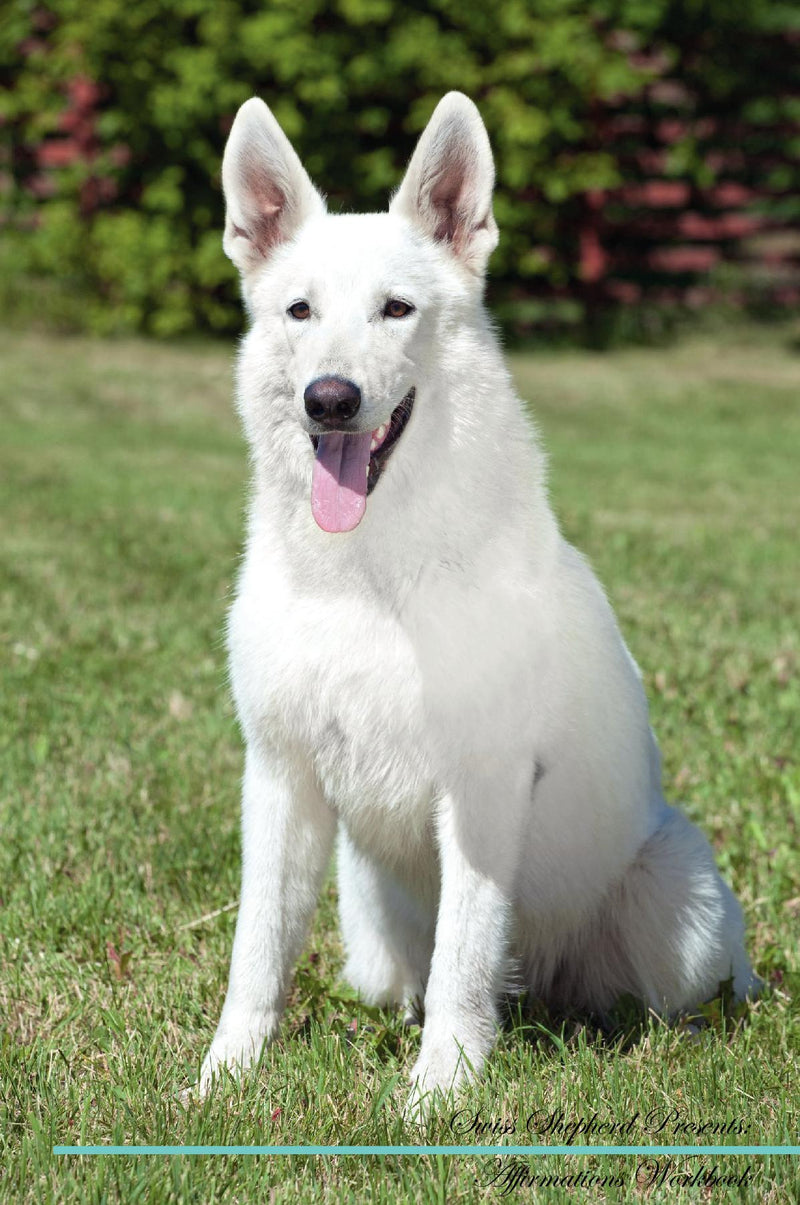 Swiss Shepherd Affirmations Workbook Swiss Shepherd Presents: Positive and Loving Affirmations Workbook. Includes: Mentoring Questions, Guidance, Supporting You.