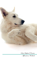 Swiss Shepherd Affirmations Workbook Swiss Shepherd Presents: Positive and Loving Affirmations Workbook. Includes: Mentoring Questions, Guidance, Supporting You.