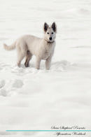 Swiss Shepherd Affirmations Workbook Swiss Shepherd Presents: Positive and Loving Affirmations Workbook. Includes: Mentoring Questions, Guidance, Supporting You.