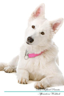 Swiss Shepherd Affirmations Workbook Swiss Shepherd Presents: Positive and Loving Affirmations Workbook. Includes: Mentoring Questions, Guidance, Supporting You.