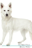 Swiss Shepherd Affirmations Workbook Swiss Shepherd Presents: Positive and Loving Affirmations Workbook. Includes: Mentoring Questions, Guidance, Supporting You.