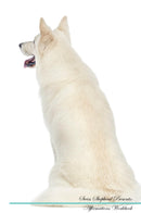 Swiss Shepherd Affirmations Workbook Swiss Shepherd Presents: Positive and Loving Affirmations Workbook. Includes: Mentoring Questions, Guidance, Supporting You.