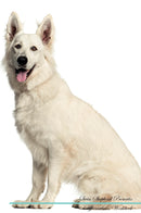 Swiss Shepherd Affirmations Workbook Swiss Shepherd Presents: Positive and Loving Affirmations Workbook. Includes: Mentoring Questions, Guidance, Supporting You.