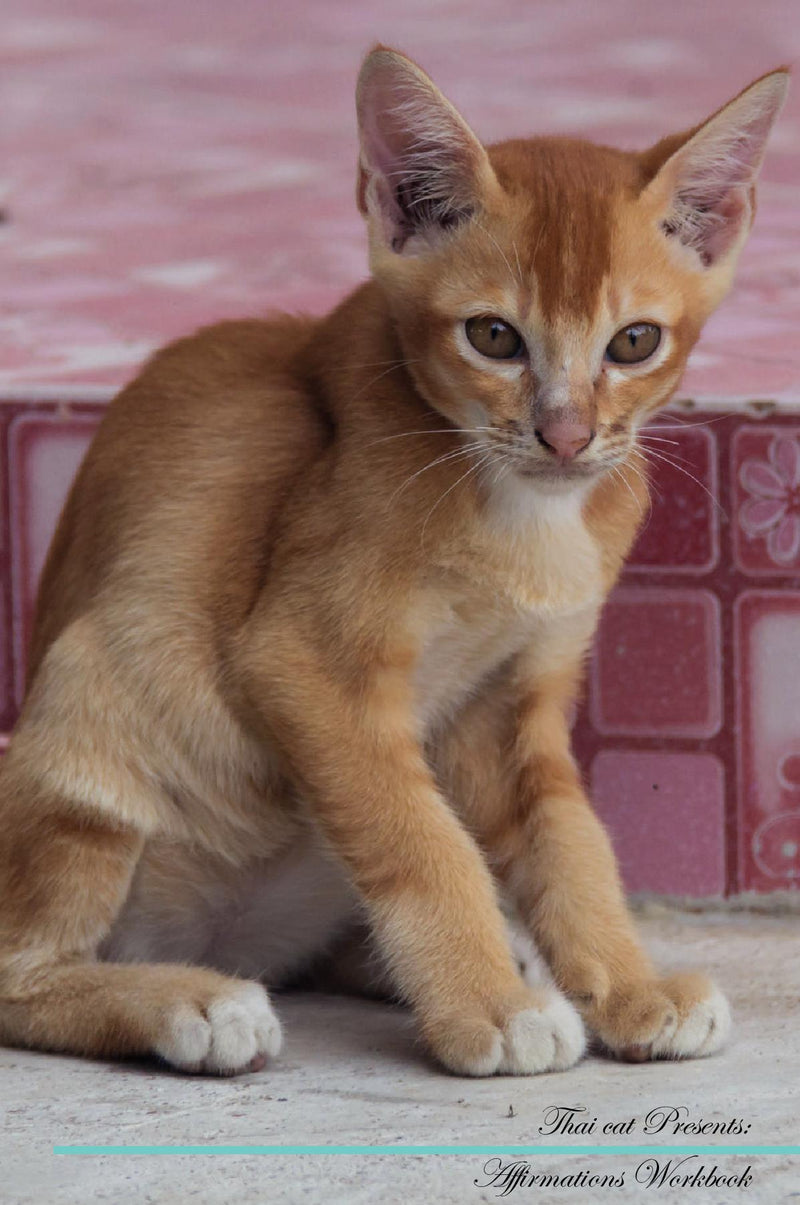 Thai cat Affirmations Workbook Thai cat Presents: Positive and Loving Affirmations Workbook. Includes: Mentoring Questions, Guidance, Supporting You.