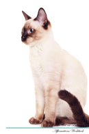 Thai cat Affirmations Workbook Thai cat Presents: Positive and Loving Affirmations Workbook. Includes: Mentoring Questions, Guidance, Supporting You.