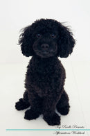 Toy Poodle Affirmations Workbook Toy Poodle Presents: Positive and Loving Affirmations Workbook. Includes: Mentoring Questions, Guidance, Supporting You.
