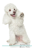 Toy Poodle Affirmations Workbook Toy Poodle Presents: Positive and Loving Affirmations Workbook. Includes: Mentoring Questions, Guidance, Supporting You.