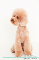Toy Poodle Affirmations Workbook Toy Poodle Presents: Positive and Loving Affirmations Workbook. Includes: Mentoring Questions, Guidance, Supporting You.