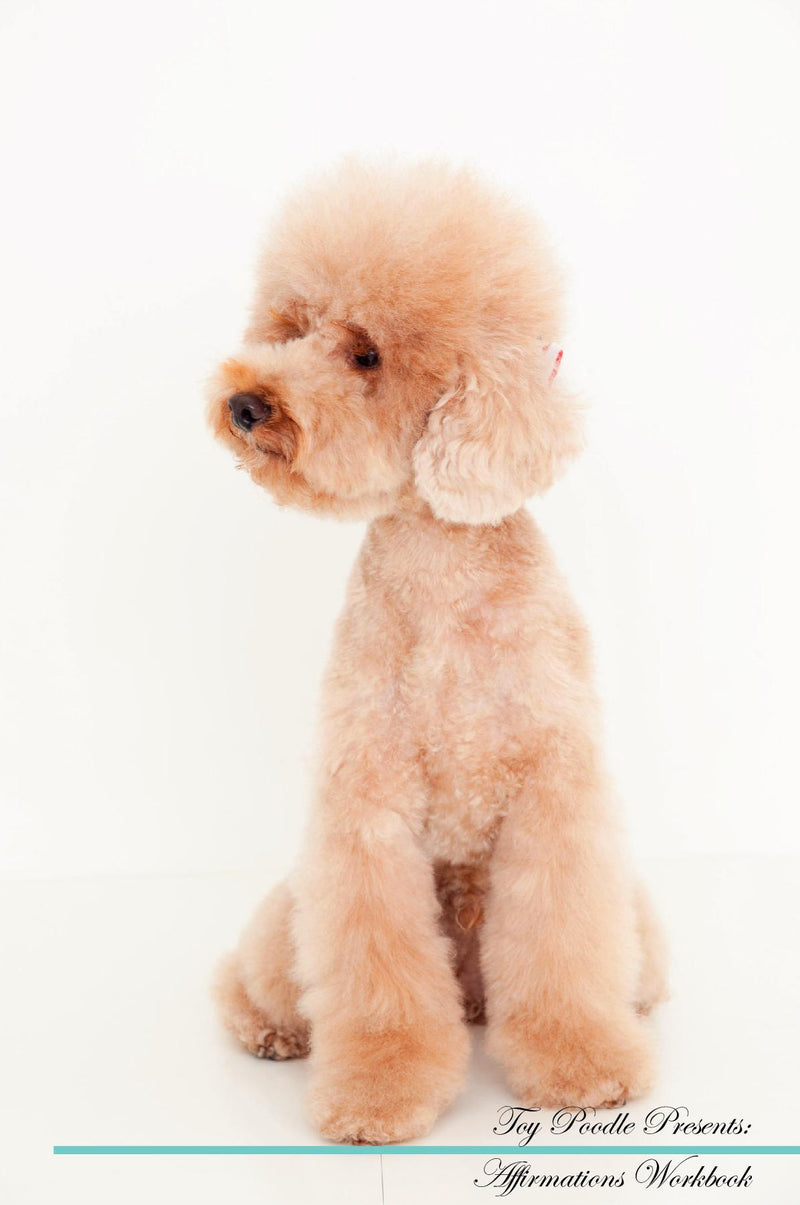 Toy Poodle Affirmations Workbook Toy Poodle Presents: Positive and Loving Affirmations Workbook. Includes: Mentoring Questions, Guidance, Supporting You.