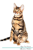Toyger Cat Affirmations Workbook Toyger Cat Presents: Positive and Loving Affirmations Workbook. Includes: Mentoring Questions, Guidance, Supporting You.