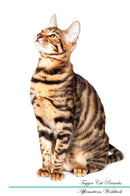 Toyger Cat Affirmations Workbook Toyger Cat Presents: Positive and Loving Affirmations Workbook. Includes: Mentoring Questions, Guidance, Supporting You.