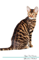 Toyger Cat Affirmations Workbook Toyger Cat Presents: Positive and Loving Affirmations Workbook. Includes: Mentoring Questions, Guidance, Supporting You.