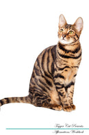 Toyger Cat Affirmations Workbook Toyger Cat Presents: Positive and Loving Affirmations Workbook. Includes: Mentoring Questions, Guidance, Supporting You.