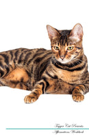 Toyger Cat Affirmations Workbook Toyger Cat Presents: Positive and Loving Affirmations Workbook. Includes: Mentoring Questions, Guidance, Supporting You.