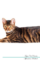Toyger Cat Affirmations Workbook Toyger Cat Presents: Positive and Loving Affirmations Workbook. Includes: Mentoring Questions, Guidance, Supporting You.