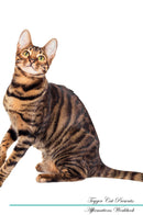 Toyger Cat Affirmations Workbook Toyger Cat Presents: Positive and Loving Affirmations Workbook. Includes: Mentoring Questions, Guidance, Supporting You.