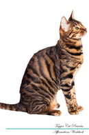 Toyger Cat Affirmations Workbook Toyger Cat Presents: Positive and Loving Affirmations Workbook. Includes: Mentoring Questions, Guidance, Supporting You.